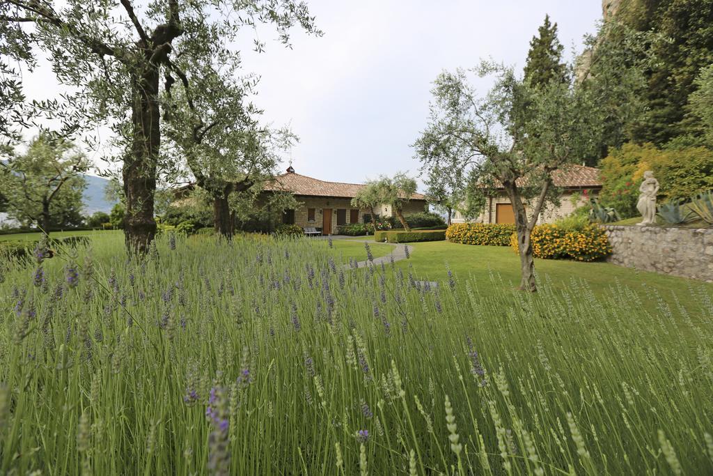 Bed and Breakfast Torre Degli Ulivi Tignale Esterno foto